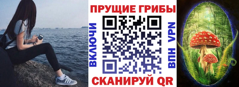 купить наркотики цена  Карачев  Галлюциногенные грибы мицелий 